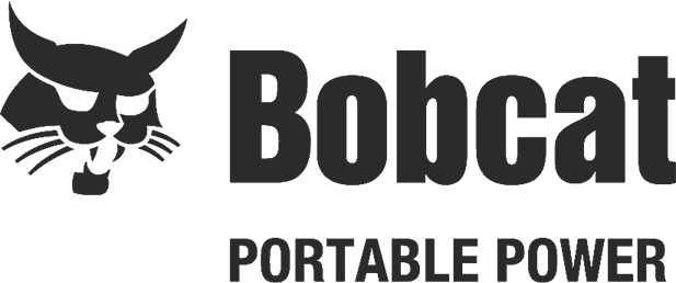 bobcat2